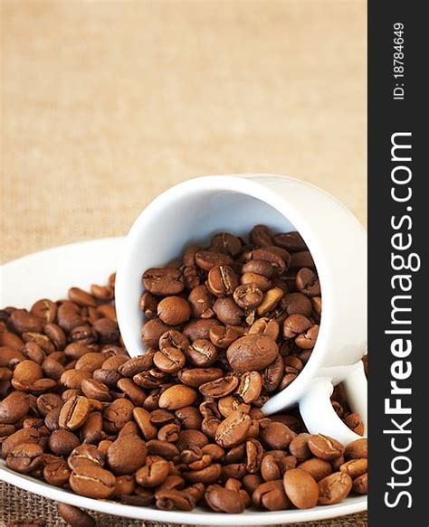 Coffee Beans With A Cup Filled With Coffee Beans Free Stock Images