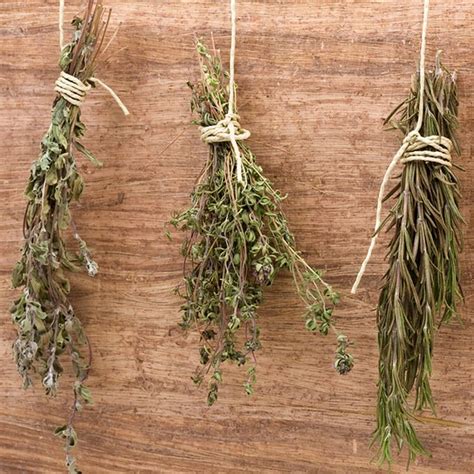 How To Dry Herbs Taste Of Home