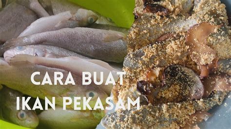 Cara Buat Ikan Pekasam Resepi Confirm Jadi Dan Tak Berkulat Youtube