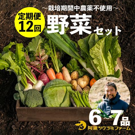 【楽天市場】【ふるさと納税】 野菜 詰め合わせ セット 6～7品目 12回 定期便 ツクヨミ ファーム ジャガイモ アスパラガス レンコン