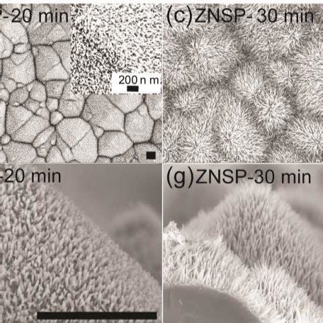 Hierarchical Structure Surfaces With A Zno Seeds Layer On Silicon