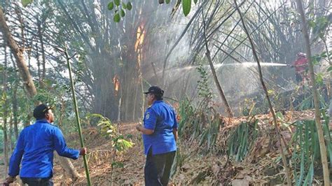 Kebakaran Hutan Desa Junjung Mulai Mendekat Permukiman Warga Damkar