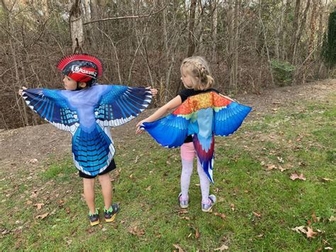 Dragon Blue Jay Wings Bird Wings 43 Inch Kid Toy Fly - Etsy