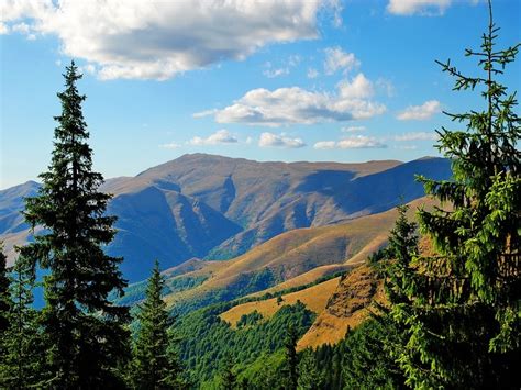 Putovanja Zimovanje Ski Centar Stara Planina