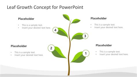 Leaf Growth Concept PowerPoint Template