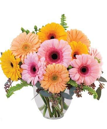 20 Best Flower Delivery Services in New Orleans - Petal Republic