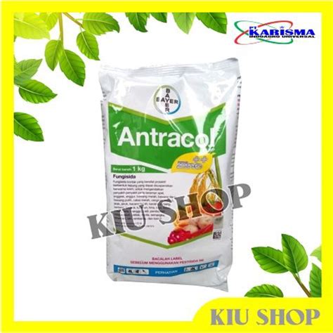 Jual Grosir Antracol Wp Zinc Kg Fungisida Atasi Jamur