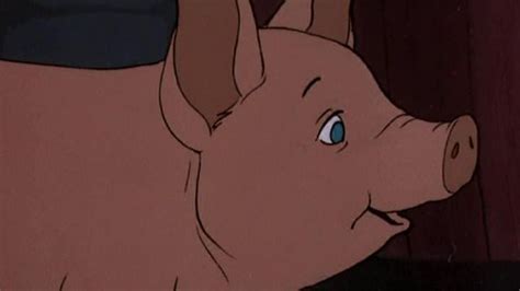 «Паутина Шарлотты» (Charlotte's Web, мультфильм, мюзикл, семейный, сша ...