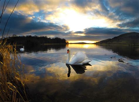 Lough Gur Heritage Centre - Heritage Island