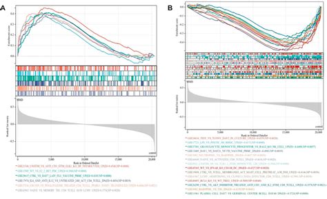 Frontiers Bioinformatics Analysis Reveals The Landscape Of Immune