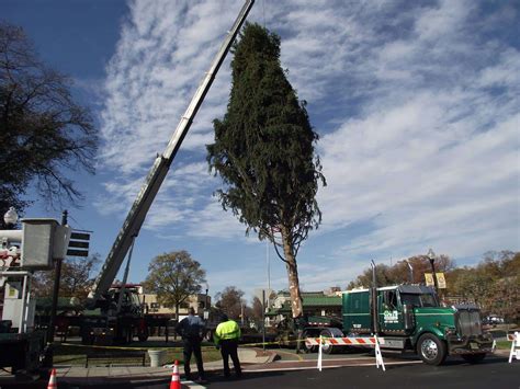Ridgewood Christmas Tree Pick Up