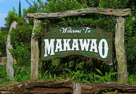 14 Fabulous Things to Do in Makawao (& Upcountry Maui)