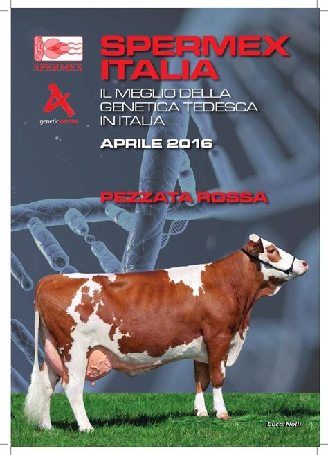 SPERMEX Italia Pezzata Rossa Aprile 2016 Cattle Farming Dairy Cows