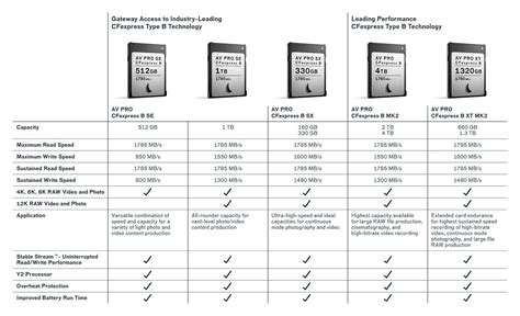 Presentamos Las Tarjetas De Memoria Angelbird CFexpress B SE De 1 TB Y