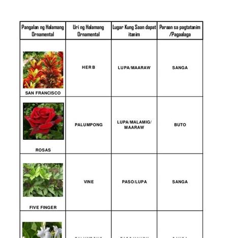 Halamang Ornamental Example - J-Net USA