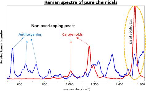 Raman Spectra Of Pure β Carotene Red And Pure Callistephin Chloride Download Scientific