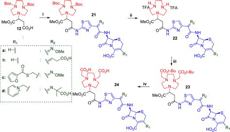 Synthesis and biological evaluation of novel β lactam metallo β