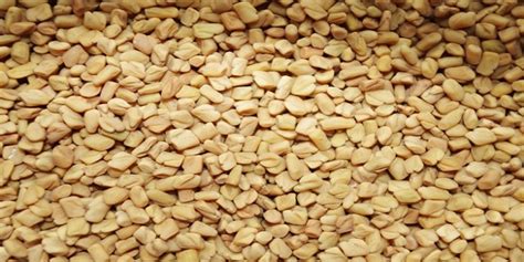 Fenugreek Health Benefits You Need To Know