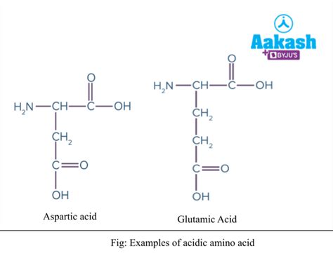 Amino Acids Structure Types And Isomers Of Amino Acids Aesl