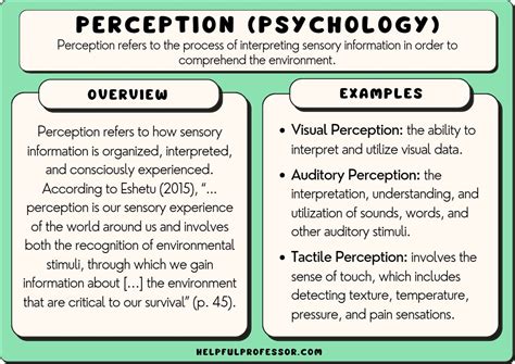 Perception Psychology 10 Examples And Definition 2025