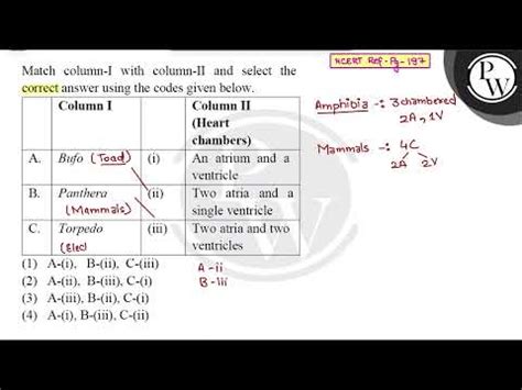 Match Column I With Column Ii And Select The Ncert Ref Pg Correct