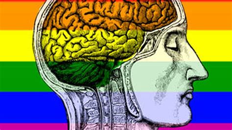 Homofóbicos se excitan con la pornografía gay