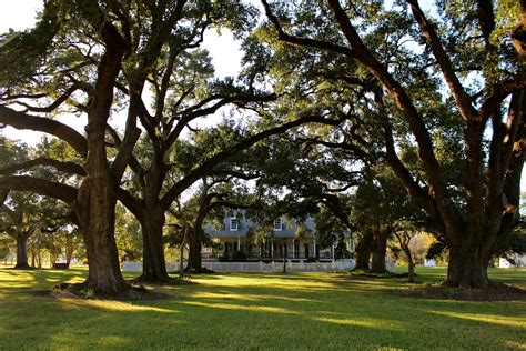 Honey's Treasures: Natchitoches