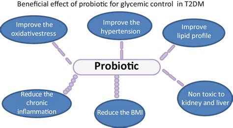 1 Beneficial Effects Of Probiotic For Glycemic Control Download