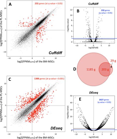 Analysis Of Differential Expression On The Rna Seq Data Of Bm And