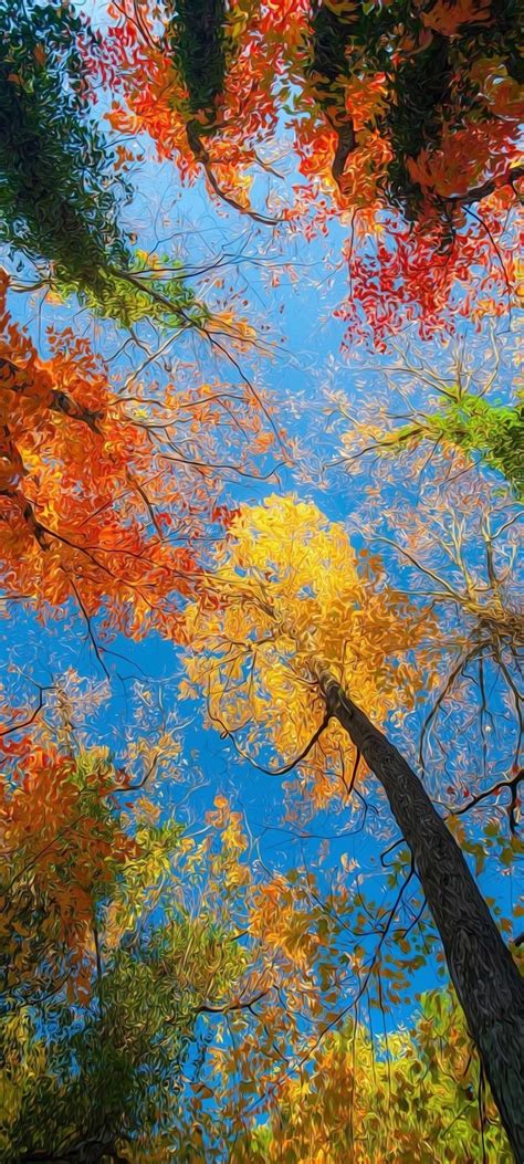 Kostenlose Hintergrundbilder Herbst Botanik Menschen In Der Natur