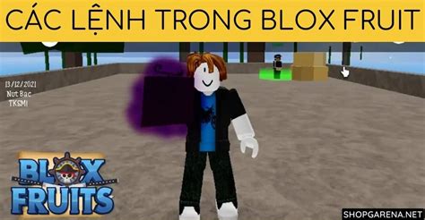 Các Lệnh Trong Blox Fruit Update 24 Random Reset