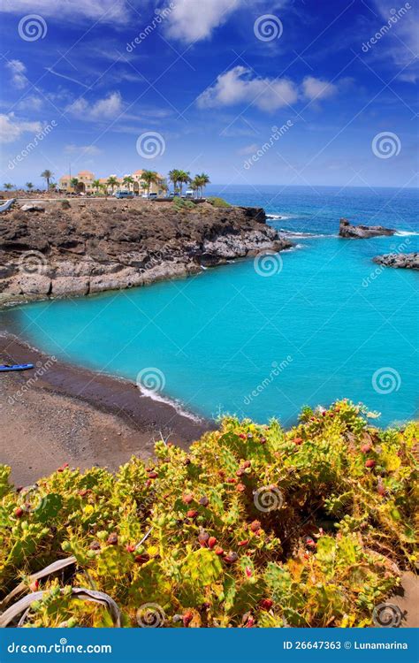 Beach Playa Paraiso Costa Adeje in Tenerife Stock Image - Image of ...