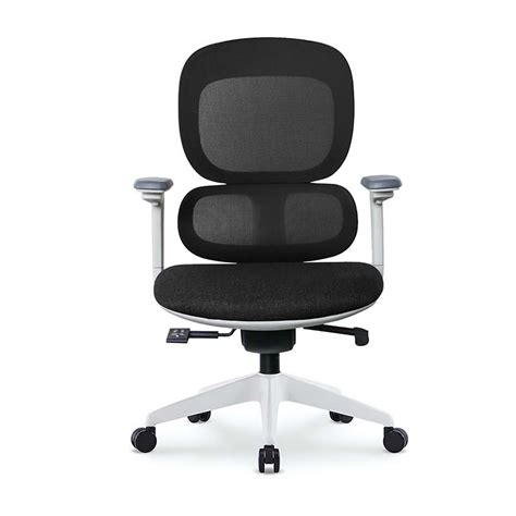 Ergonomic Mesh Office Chair