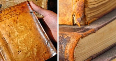 Harvard University Library Books Bound In Human Skin