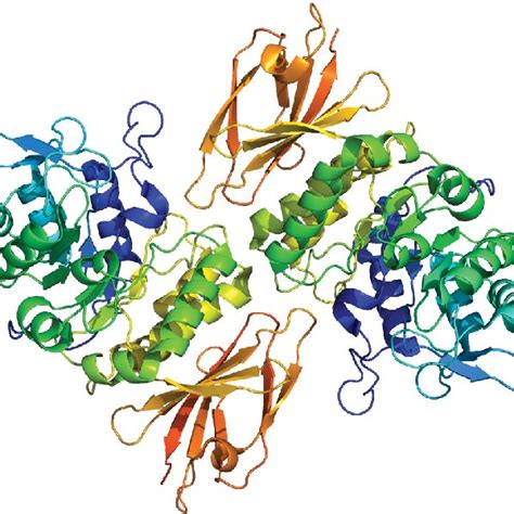 Schematic Of The Autosomal Recessive Inherited Pattern Followed By