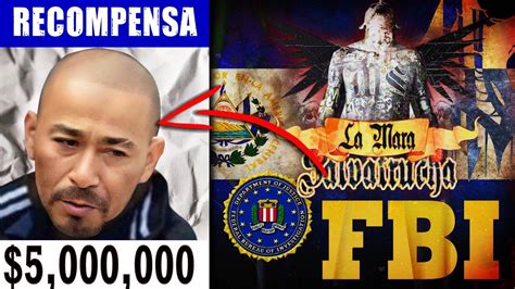 M S Buscado Fbi El Porky L Der De La Mara Salvatrucha En Honduras