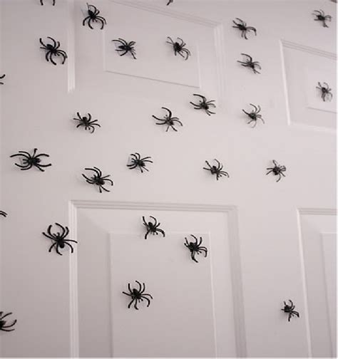 Scary Spiders-Best Roomate Pranks