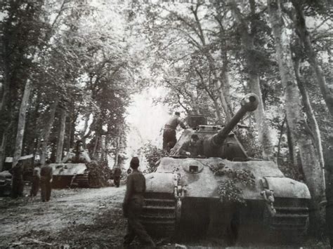 Tiger II in Normandy,1944 : r/WorldWar2