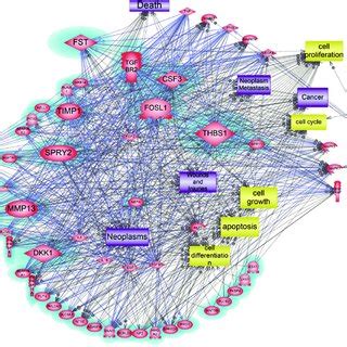 Dissection Of Responsive Molecular Network Of Up Regulated Genes