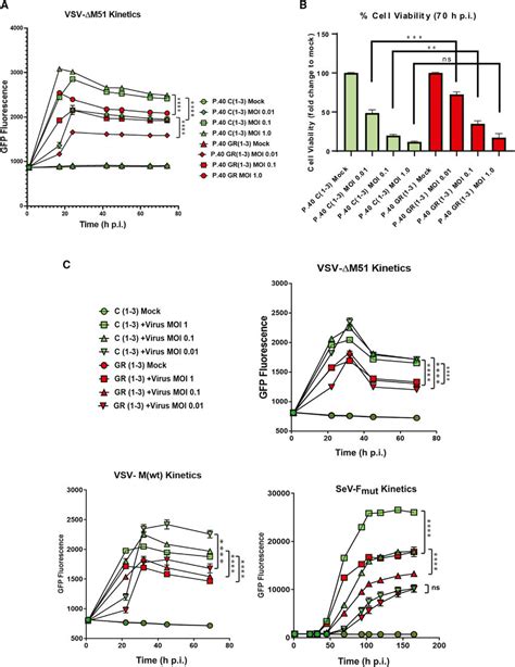 Replication kinetics of different viruses in C and GR cells (A and B ...