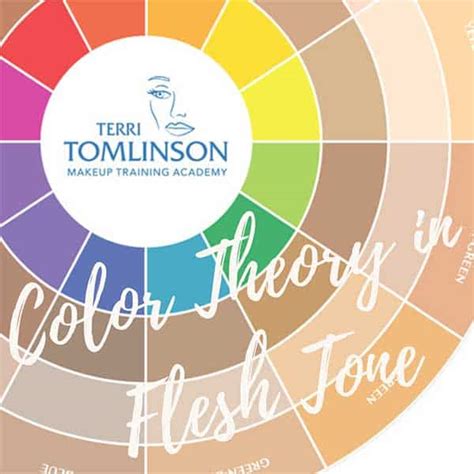 Terri Tomlinson Flesh Tone Color Wheel Ph