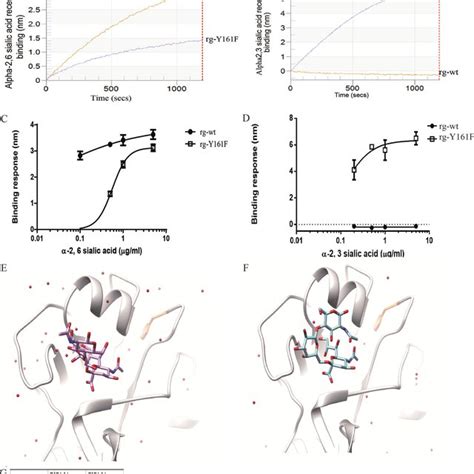 Glycan Binding Specificity Of Virus By Biolayer Interferometry