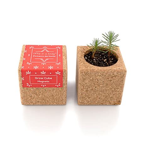 Kit de plantation aimanté Grow Cube sapin de Noël rouge Greenweez