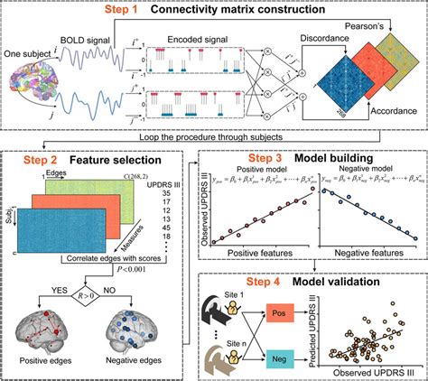 Schematic Representation Of Connectome Based Predictive Modeling For