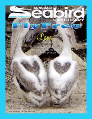 Fillable Online To The Rescue Suncoast Seabird Sanctuary Fax Email