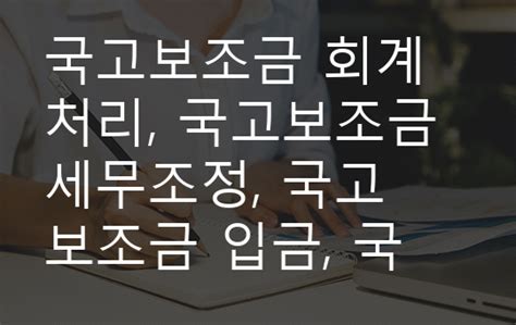 국고보조금 회계처리 국고보조금 세무조정 국고보조금 입금 국고보조금 당기 수익 상환의무 없는 국고보조금 연구개발 관련