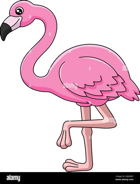 Flamingo Clipart