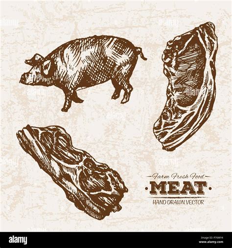 Hand Drawn Sketch Pork And Ham Meat Products Set Farm Fresh Food