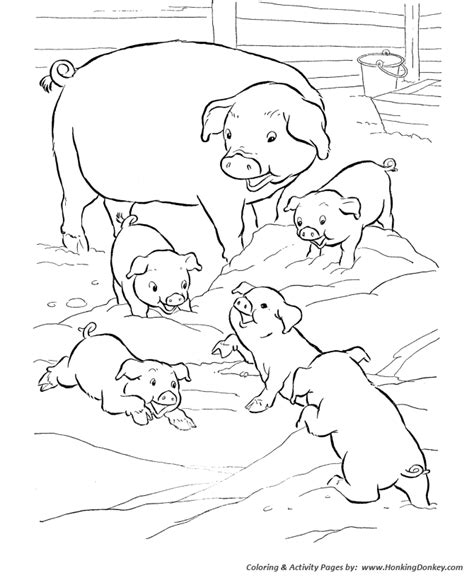 Pig In Mud Coloring Page