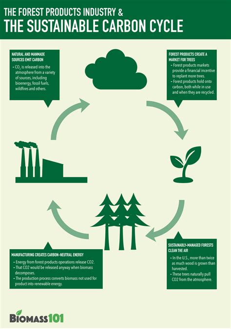 Resources — Biomass101